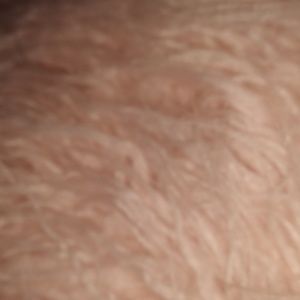 Meet your Posher, Ayla